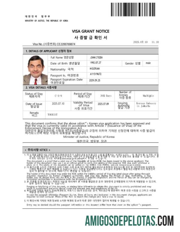 para download Modelo de visto Coreia E em formatos Word e PDF